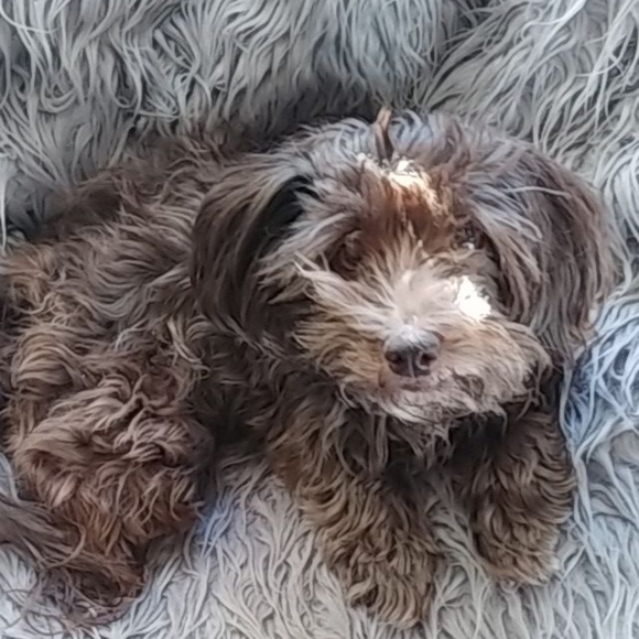 Meet your Posher, Rebecca - Picture 2 of 2